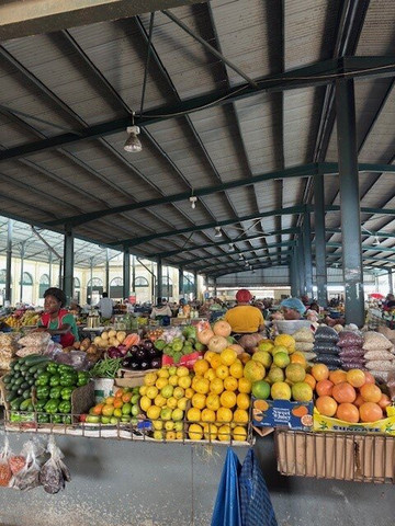 Dél-afrika-mozambik-尼斯普鲁特必去景点