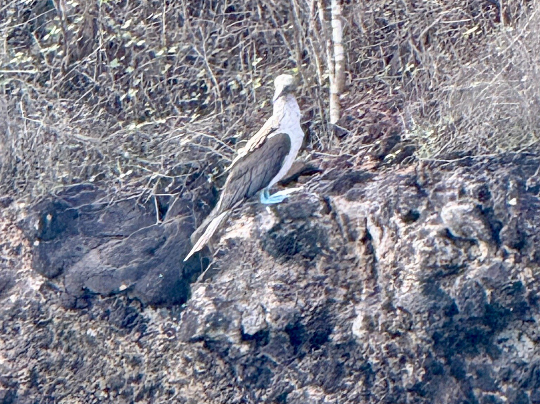 Cerro Tijeretas-Puerto Baquerizo Moreno必去景点