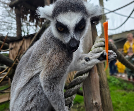 Wild Zoological Park-Bobbington必去景点