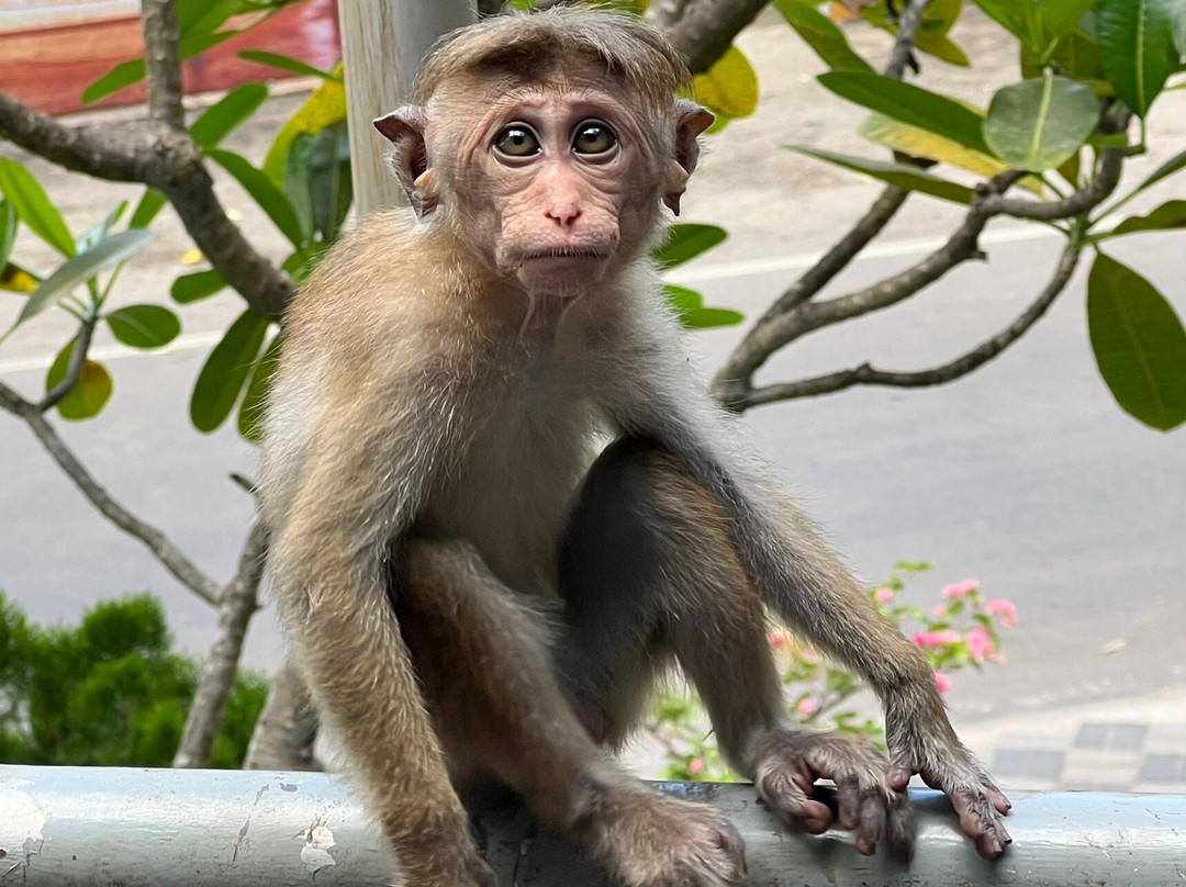 Sampath-Tours-希克杜沃必去景点