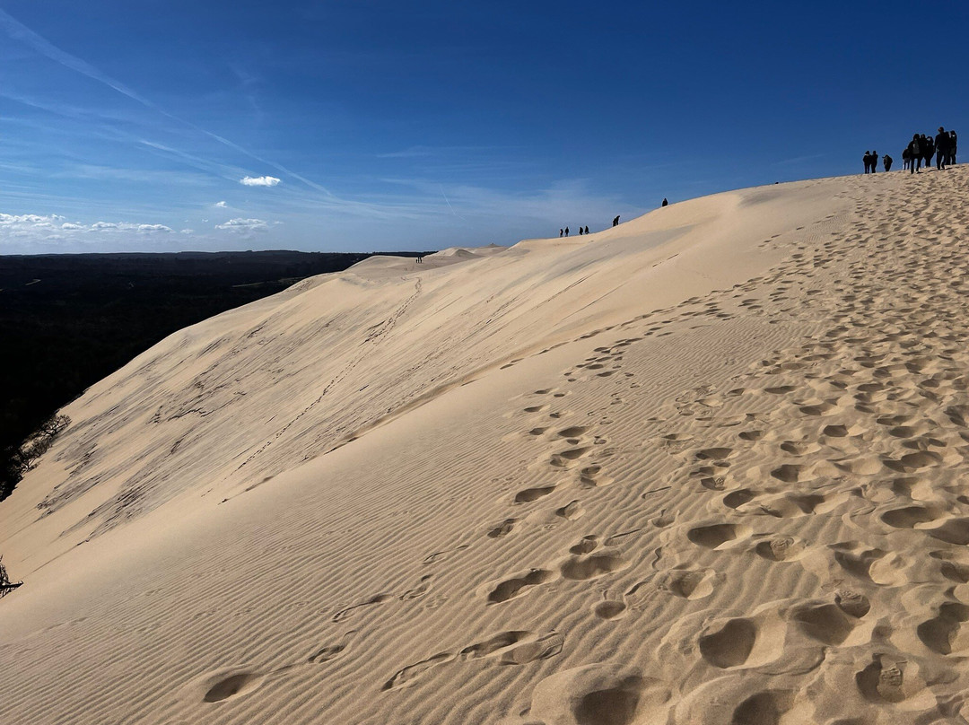 Great Dune of Pilat-拉泰斯特德比克必去景点