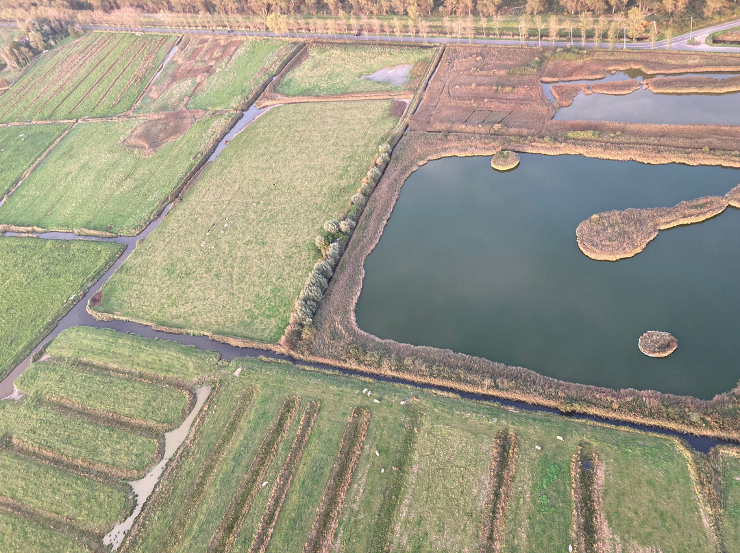 C-Air Ballonvaart-Waasmunster必去景点