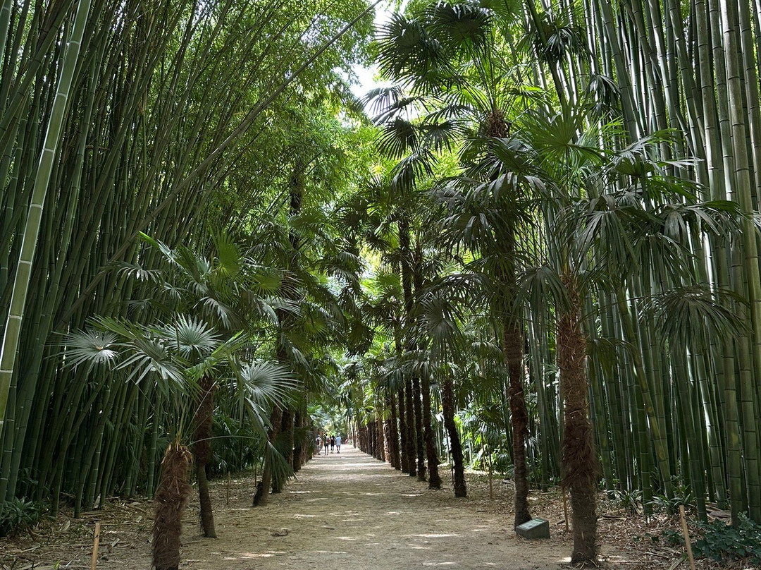 La Bambouseraie En Cévennes-Generargues必去景点