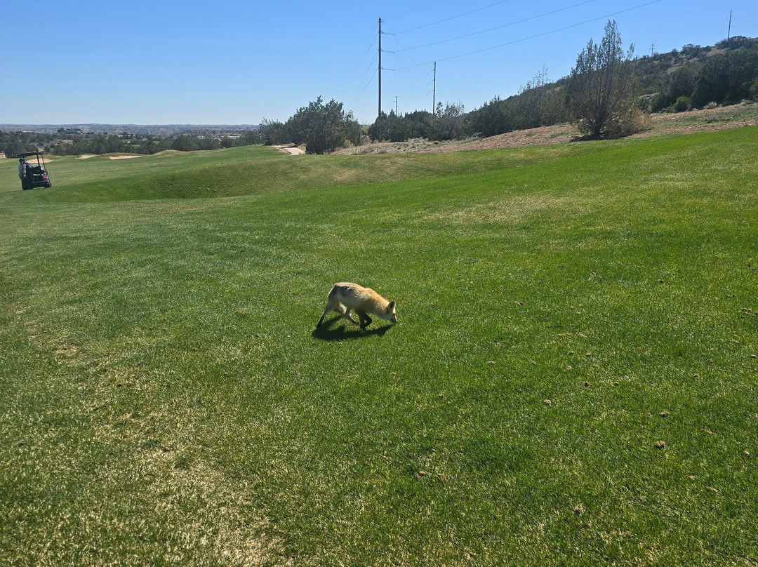 Pinon Hills Golf Course-法明顿必去景点