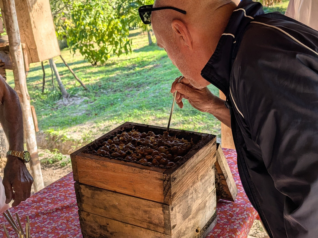Cuba Travel Adventures Group-Tiburon必去景点