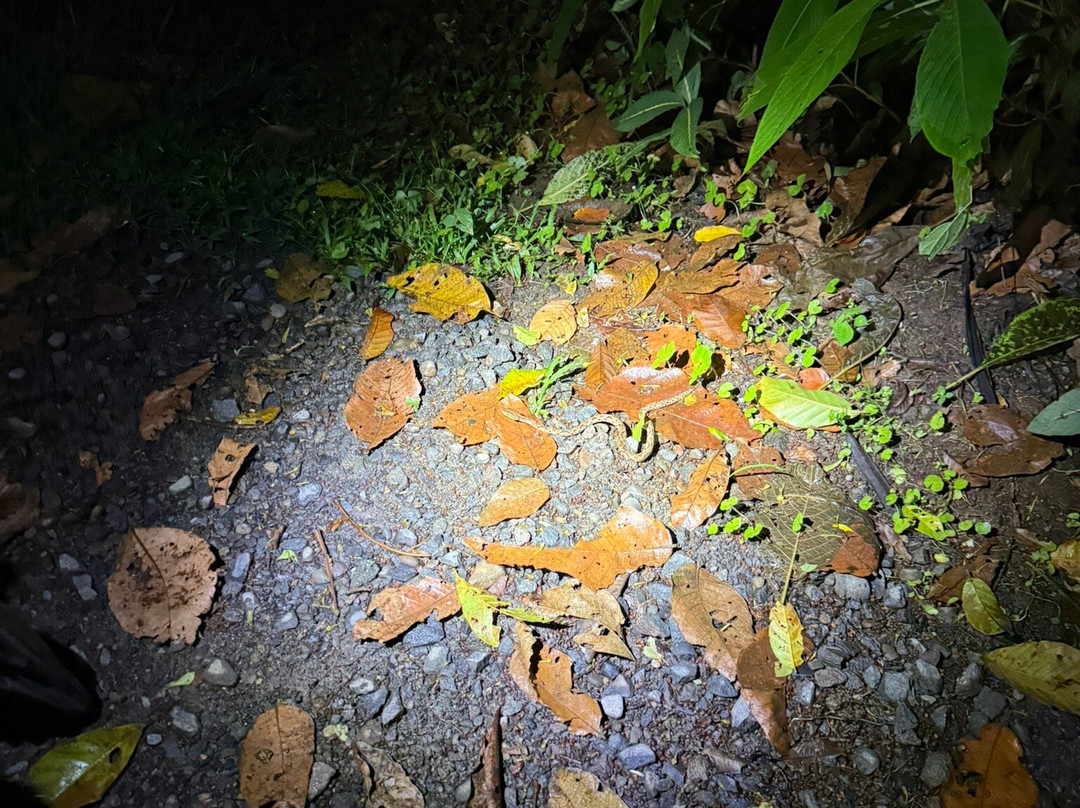 Tapir Valley Nature Reserve-Bijagua de Upala必去景点