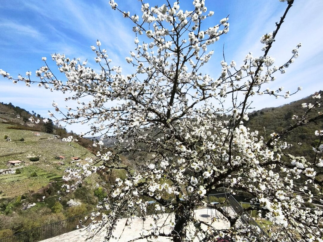 Via Romana Adegas e Vinedos-Chantada必去景点