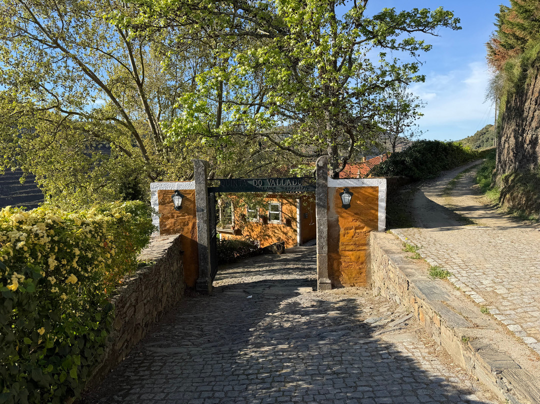 Quinta do Vallado-佩苏达雷瓜必去景点