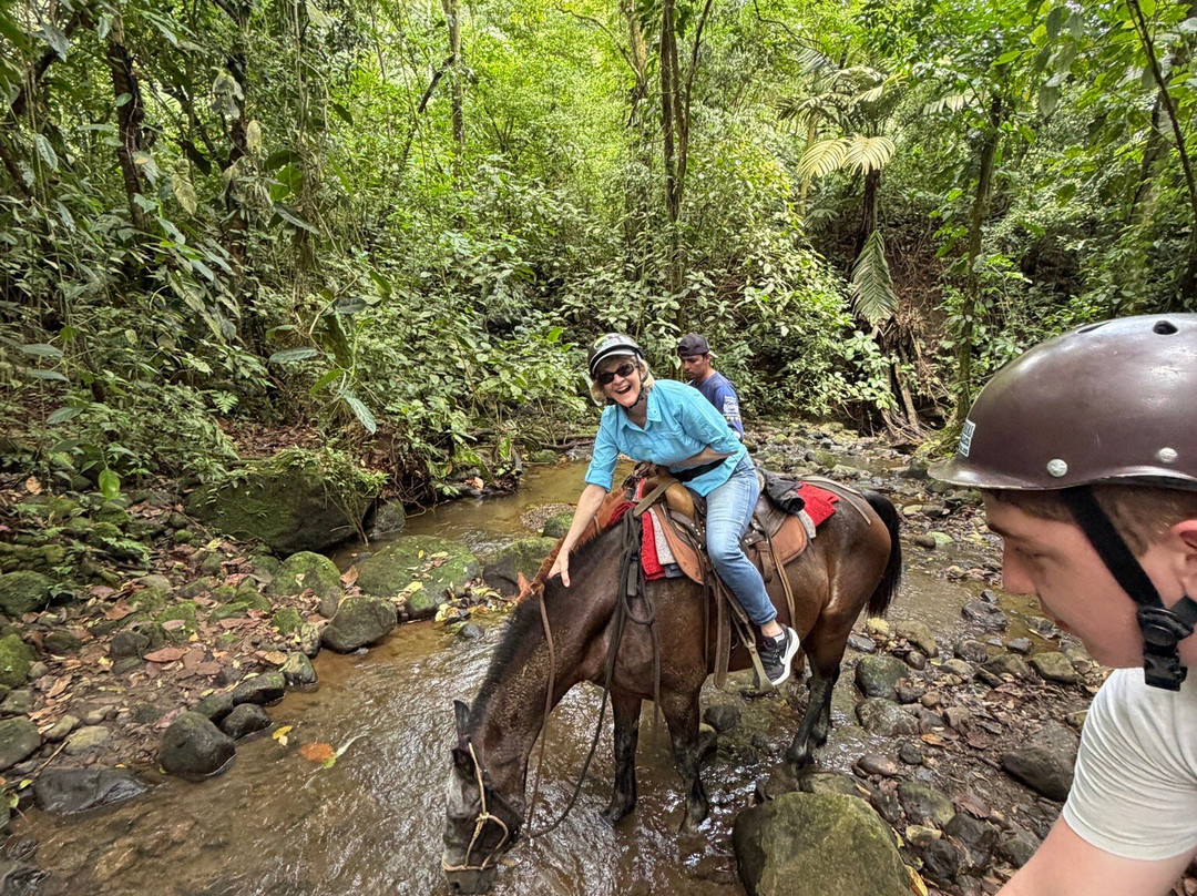 Cabalgata Don Tobias-福德圣卡洛斯必去景点
