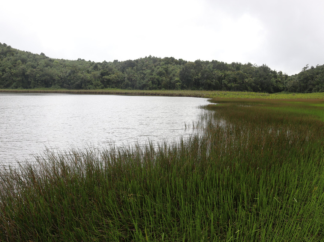 Grand Etang Lake-Grand Etang National Park必去景点