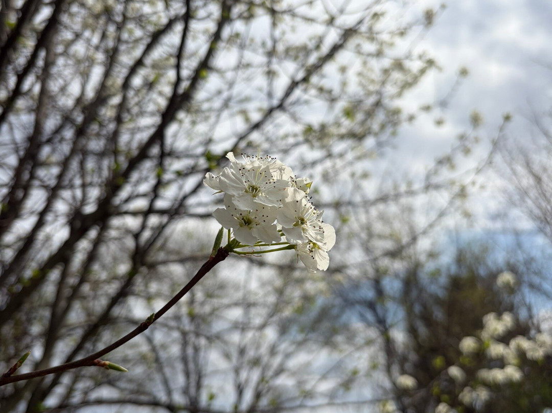 Tall Pines State Preserve-Sewell必去景点