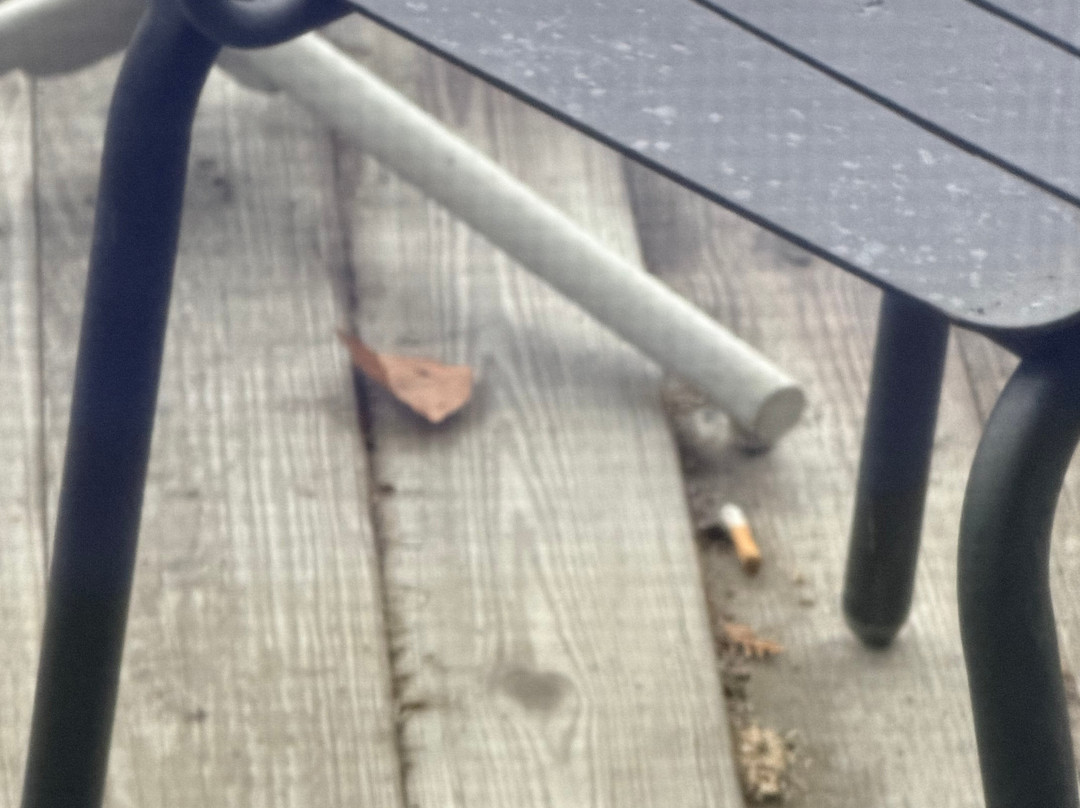 四季 4 号奔逃酒店主图