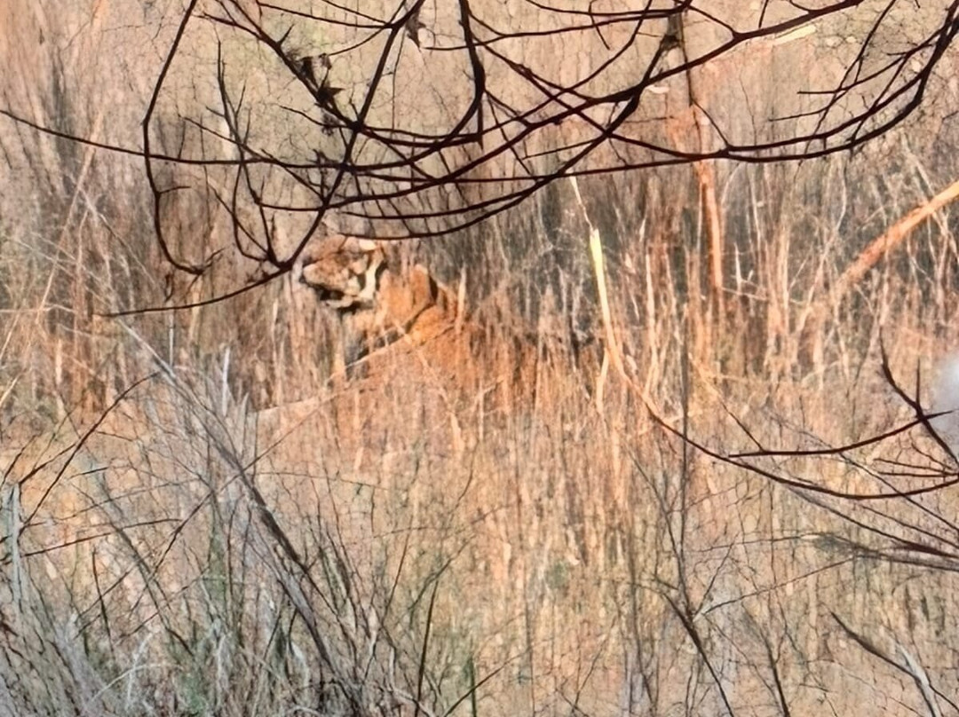 Panna National Park-Panna District必去景点