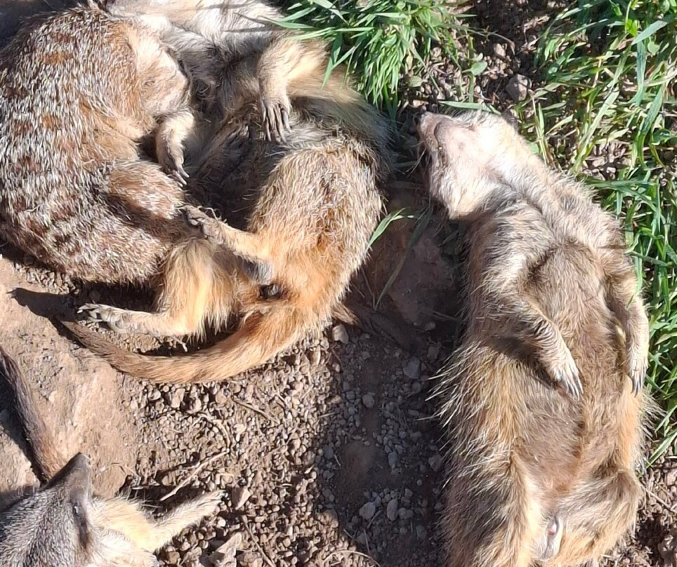 Legendia Parc-Frossay必去景点