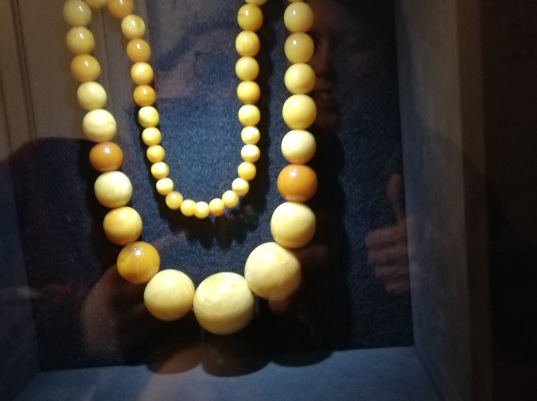 Palanga Amber Museum-帕兰加必去景点