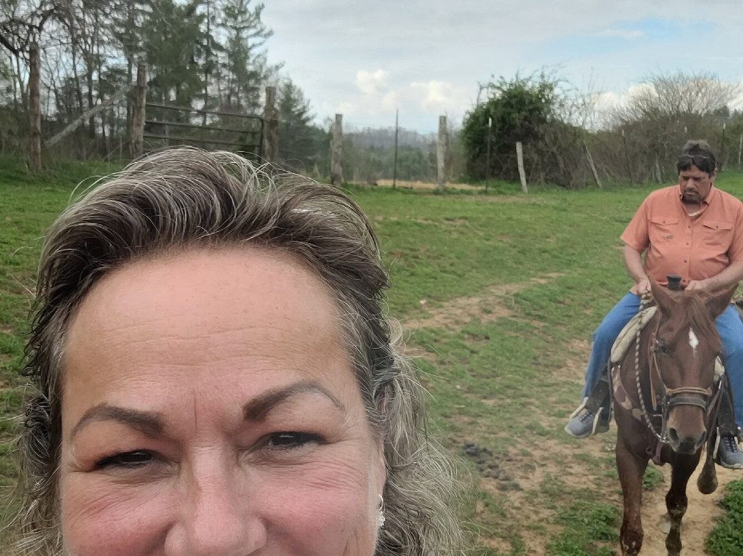Smoky Mountain Trail Rides and Bison Farm-Marshall必去景点
