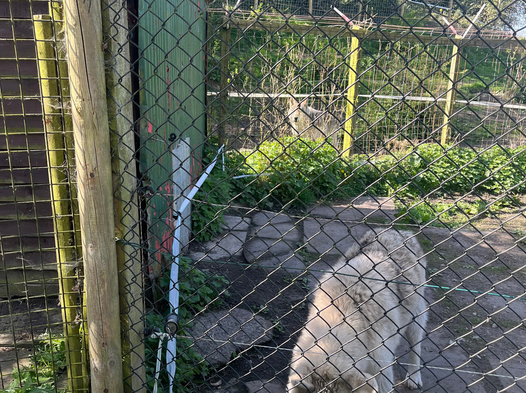 Greenacres Animal Park-Deeside必去景点