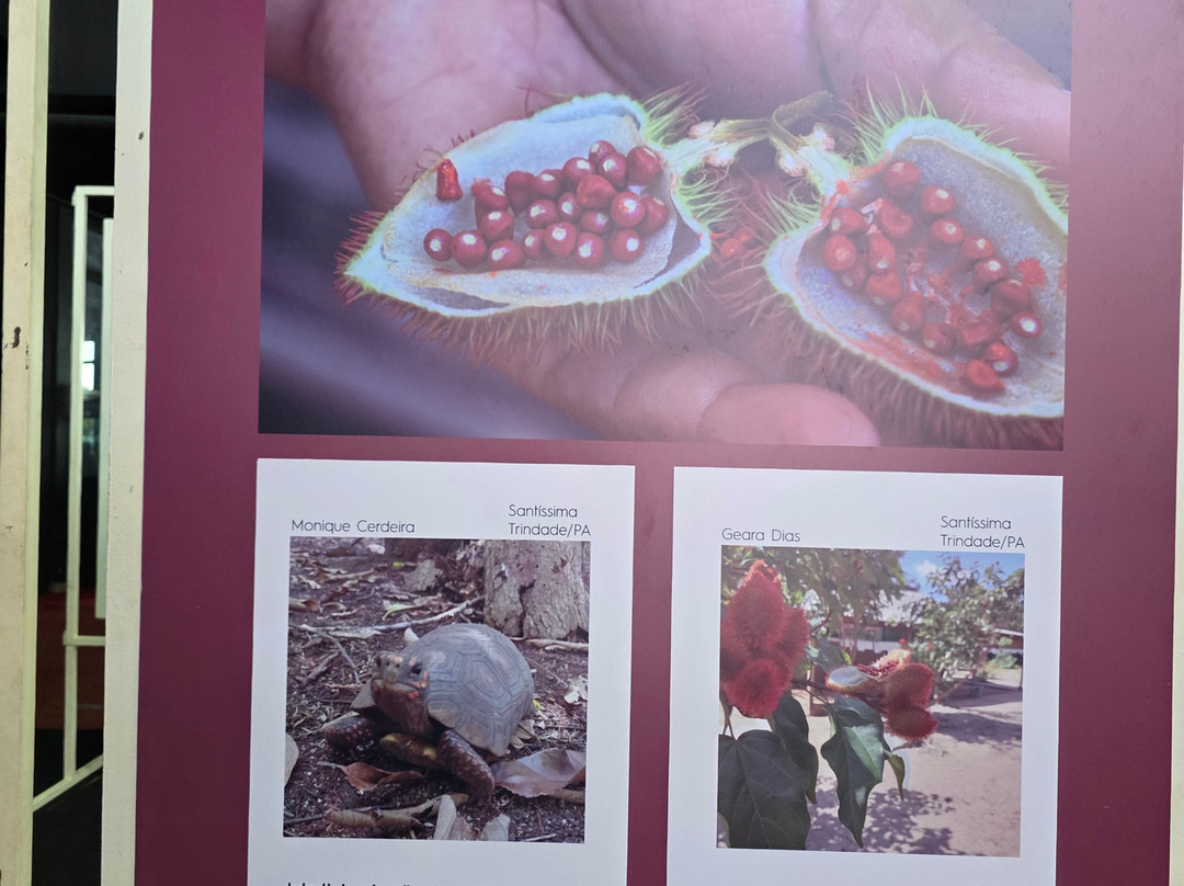 Cultural Centre of the Peoples of the Amazon-玛瑙斯必去景点