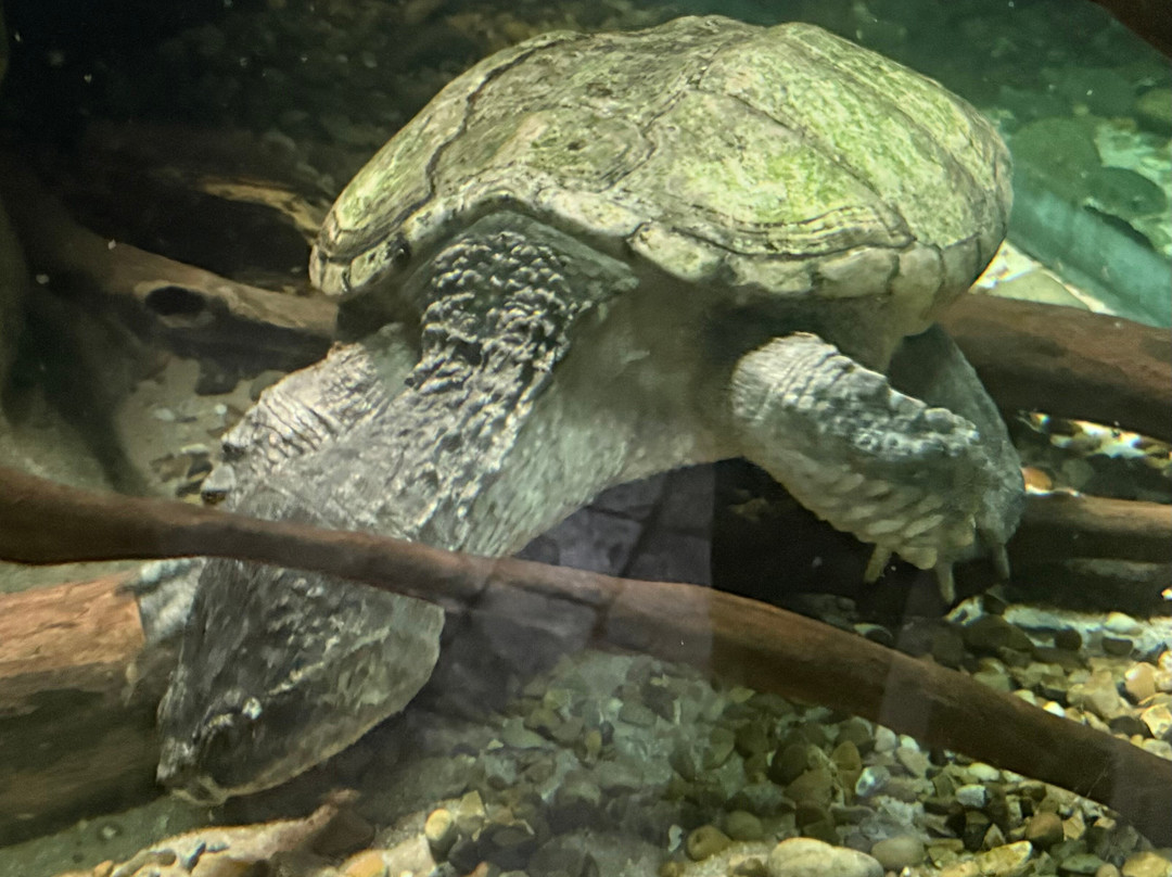 St Andrews Aquarium-圣安德鲁斯必去景点