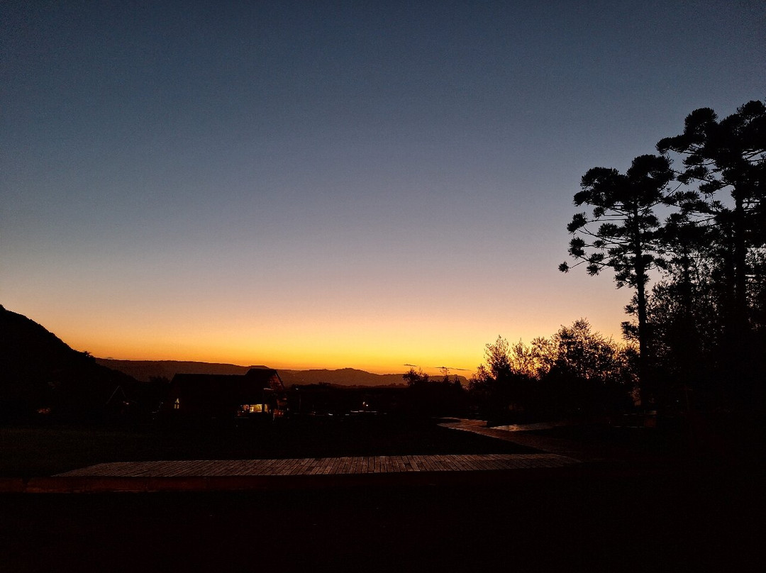 Parque Olivas de Gramado-格拉玛多必去景点