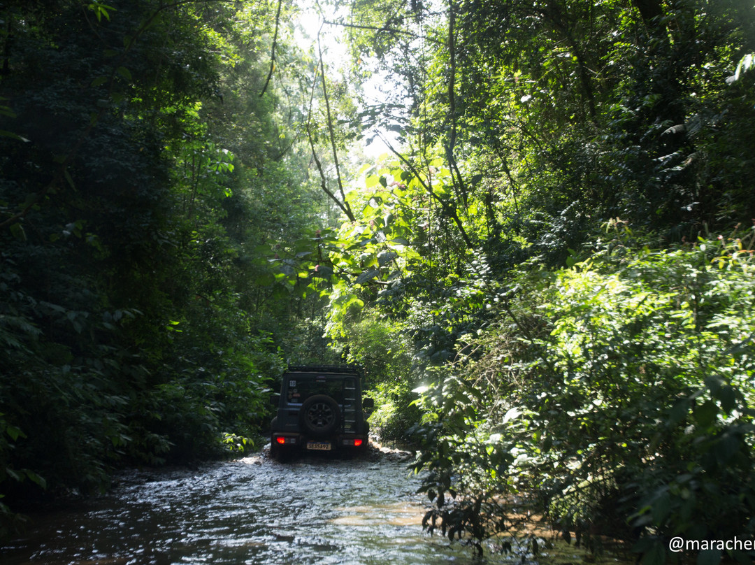 Fabio Rego Tunnel-森热斯必去景点