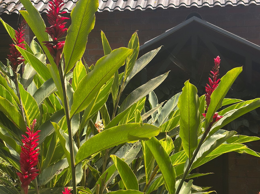 慕那尔大象通道度假村主图