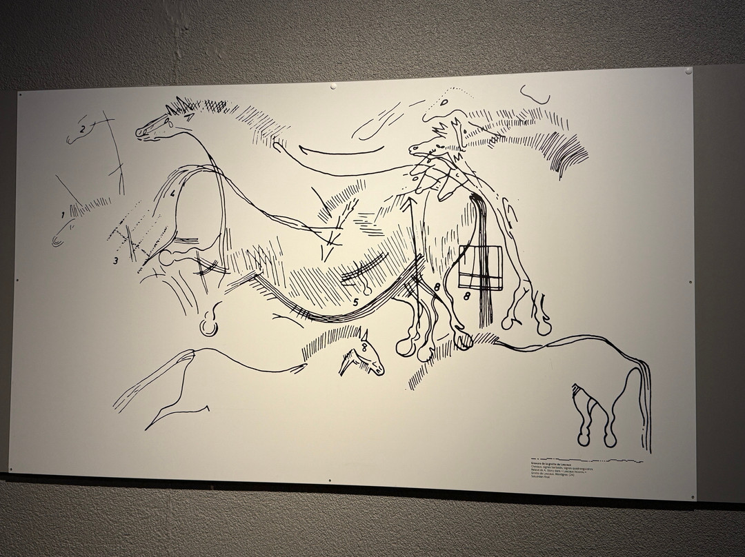 Musée d'Aquitaine-波尔多必去景点