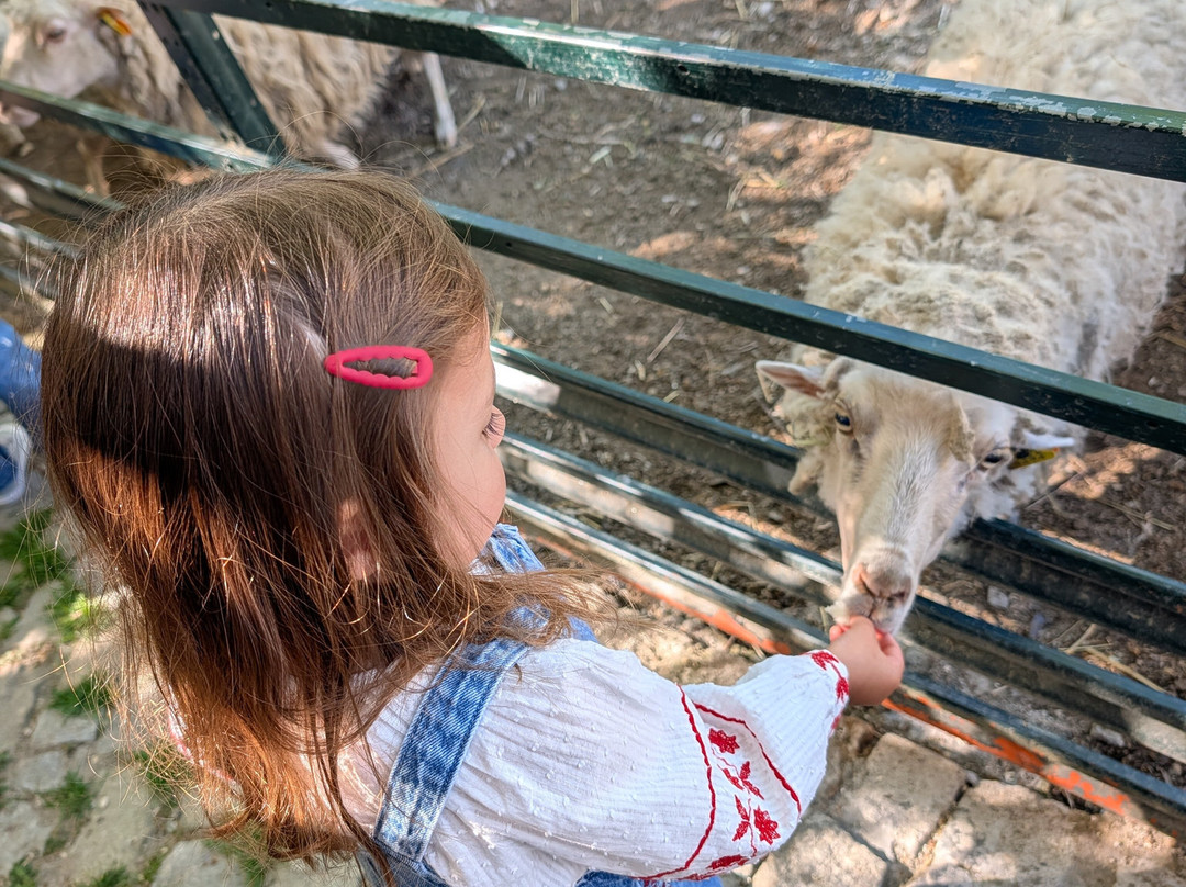 Quinta Pedagógica Quinta das Manas-吉马良斯必去景点