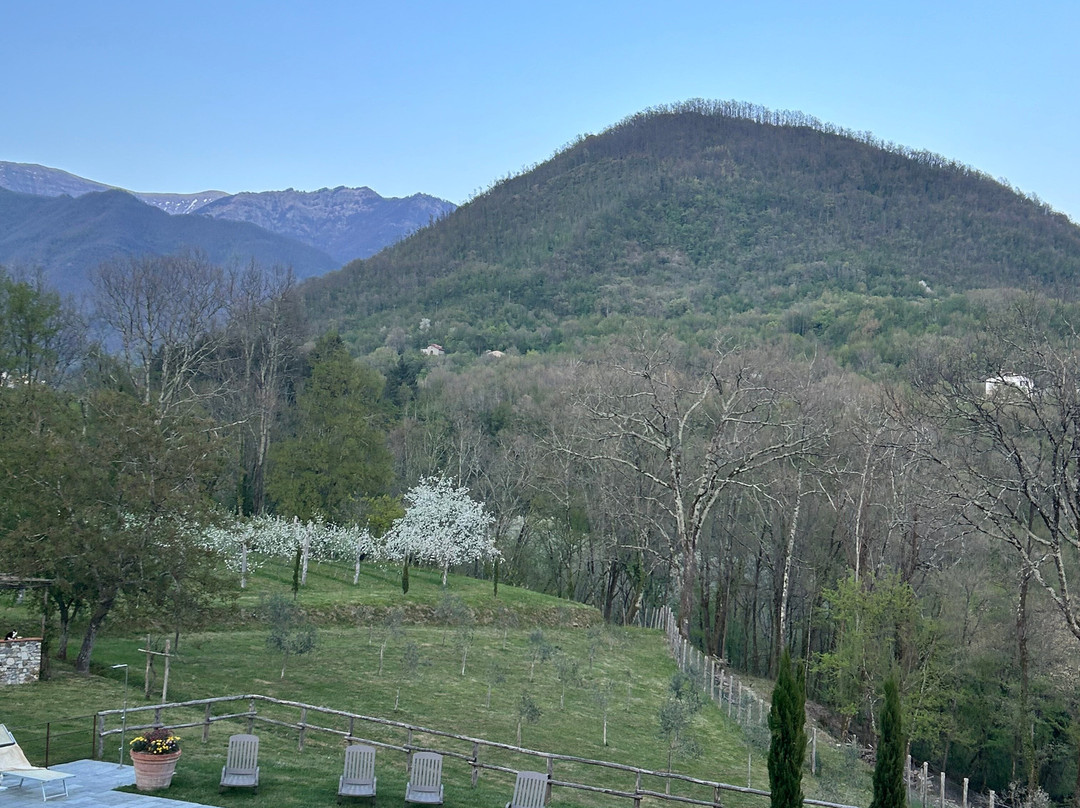 Agriturismo I Giunchi主图