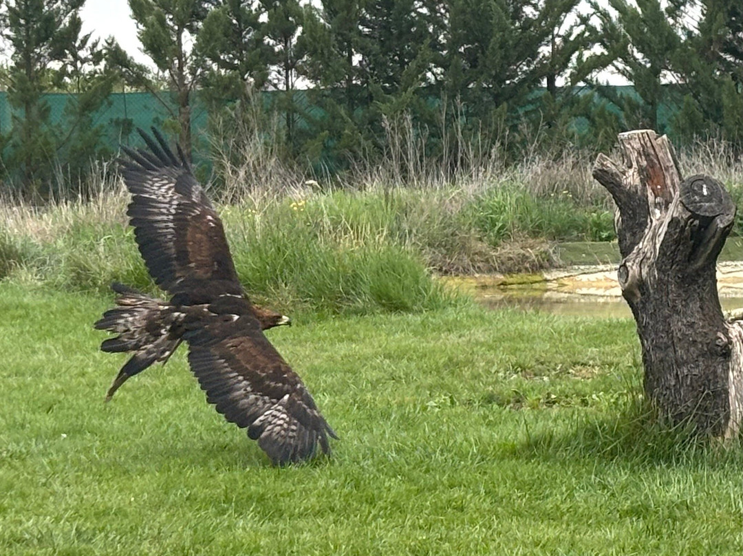 Tierra Rapaz-Calahorra必去景点