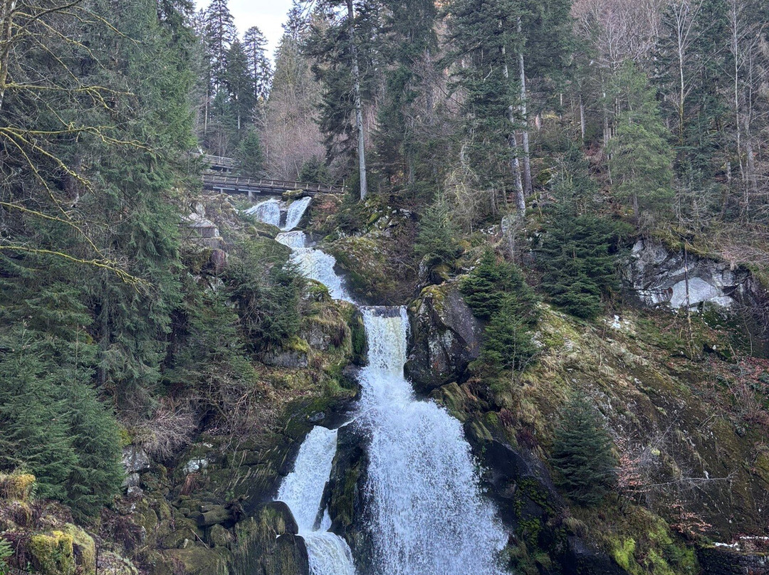 Triberger Waterfall-特里贝格必去景点