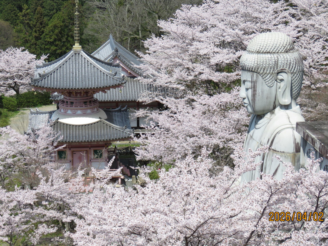 Tsubosaka-dera Temple-高取町必去景点