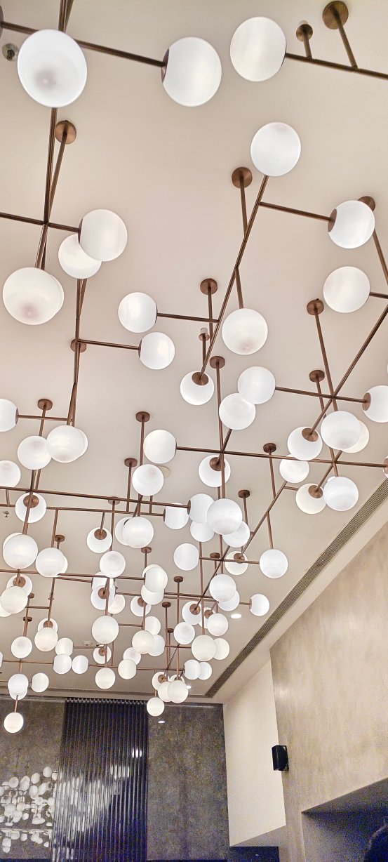 马杜赖阿米卡酒店有限公司-旅行者