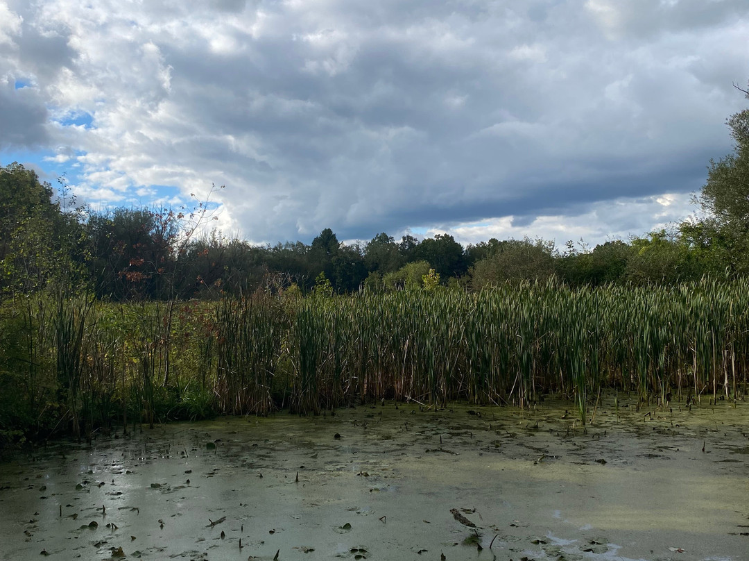 Beaver Marsh-Peninsula必去景点