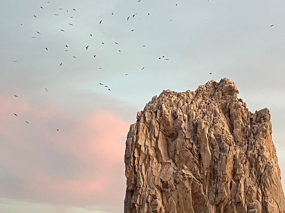 Blue Sky Cabo Fishing and Tours-卡波圣卢卡斯必去景点
