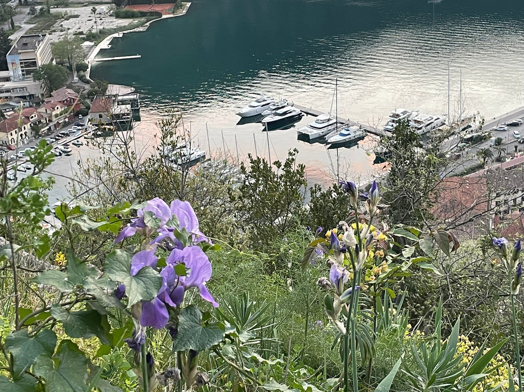 Kotor Old Town-科托尔必去景点
