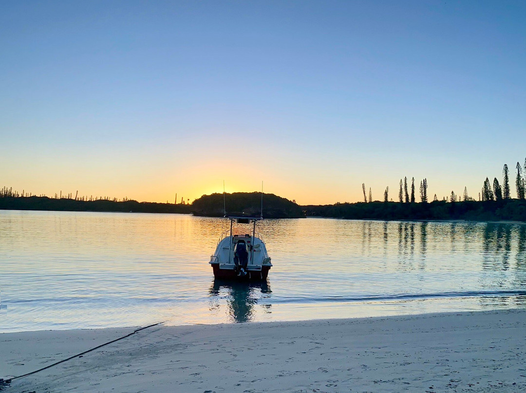 Aquarium des Lagons Nouvelle Caledonie-努美阿必去景点