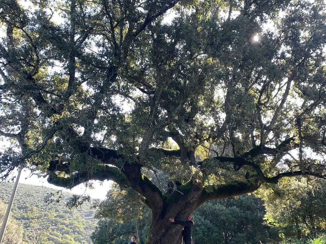 Escursioni in Quad Seulo-Seulo必去景点