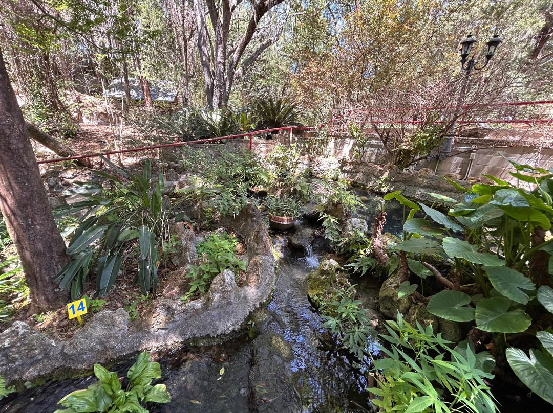 Cedar Lakes Woods & Gardens-Williston必去景点