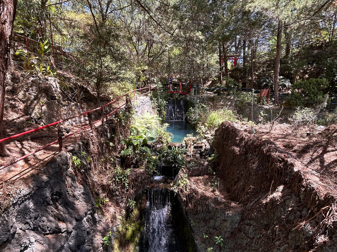 Cedar Lakes Woods & Gardens-Williston必去景点