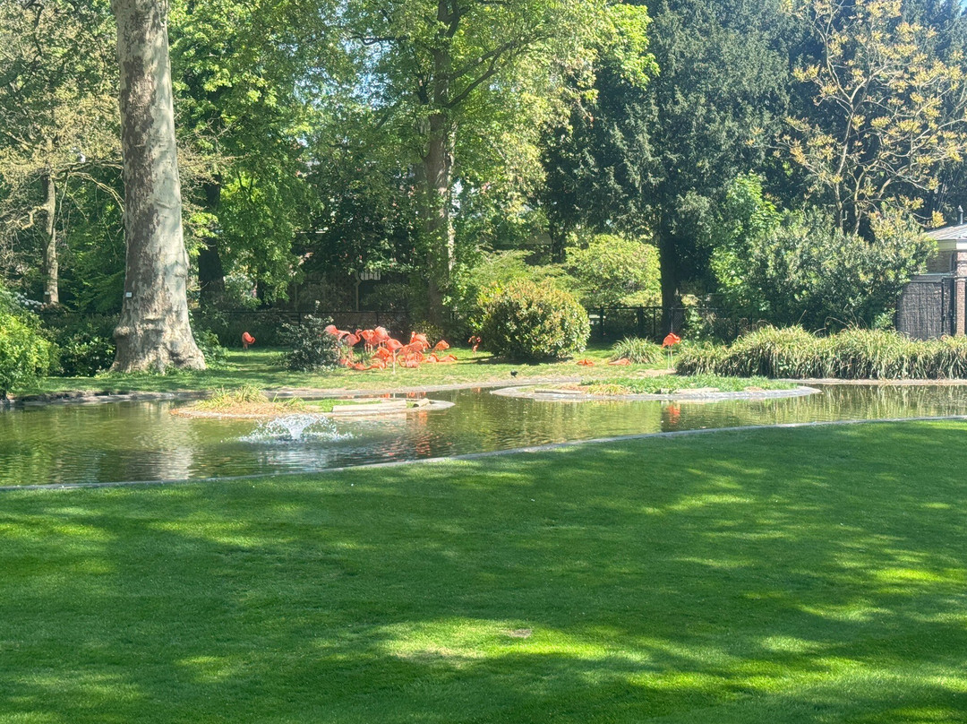 Zoo Antwerpen (dierentuin)-安特卫普必去景点