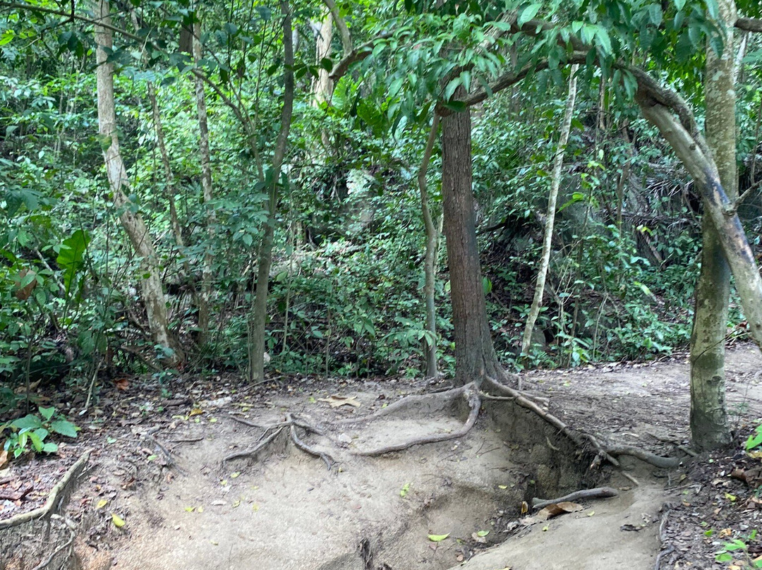 Parque Nacional Natural Tayrona-Tayrona National Park必去景点