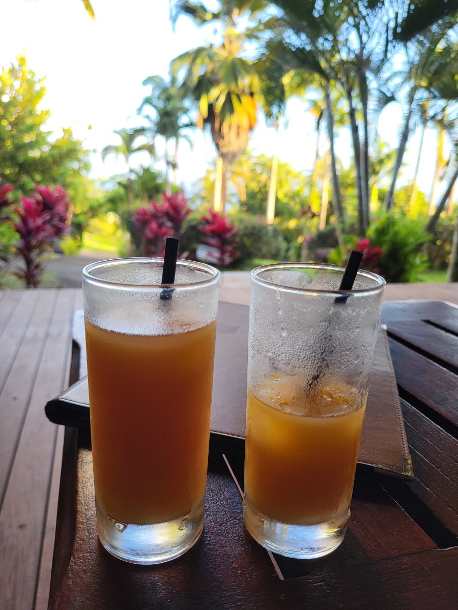 马兰加花园酒店-旅行者