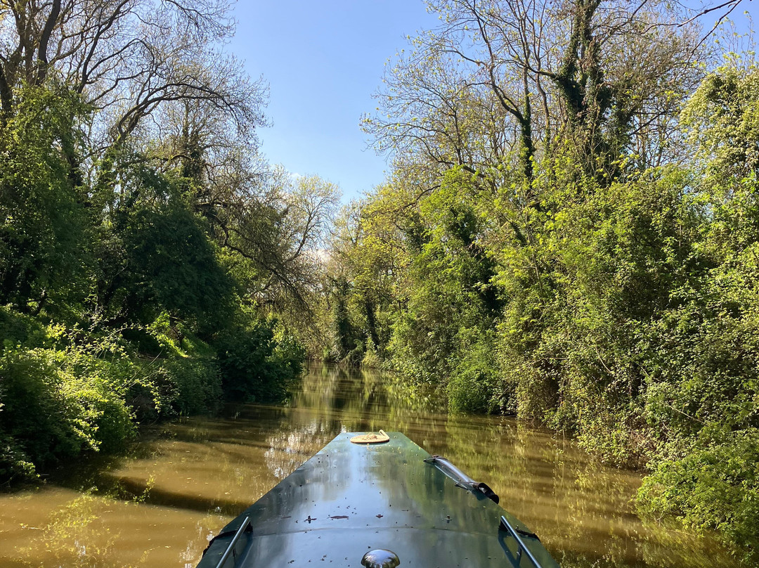Union Wharf Narrowboats-马基特哈伯勒必去景点