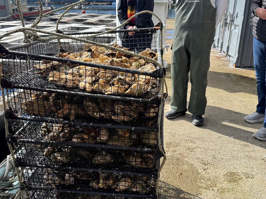 Hump Island Oyster & Kelp Farm with Tasting-凯奇坎必去景点