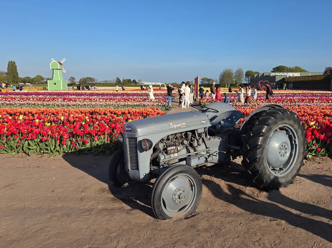 The Tulip Barn-Hillegom必去景点
