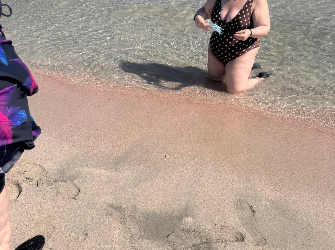 Elafonissi Beach-拉格尼西必去景点
