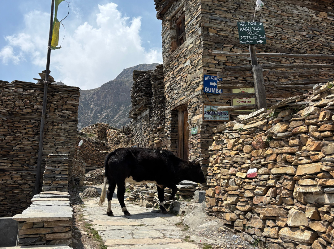 Royal Himalayan Treks-Budhanilkantha必去景点