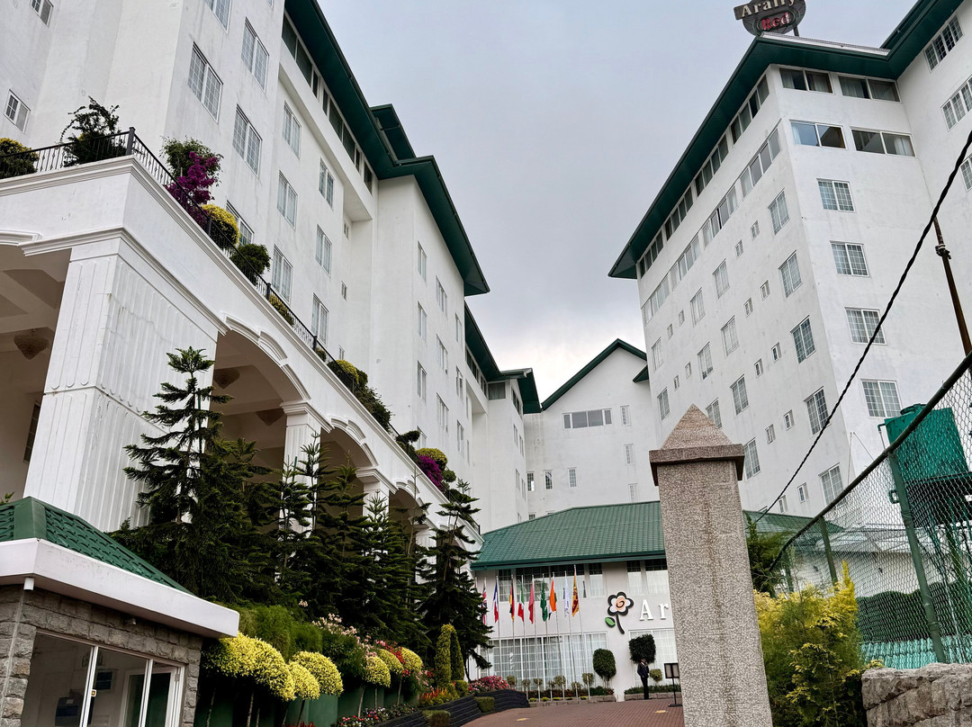 阿拉利亚雷德酒店-努沃勒埃利耶主图