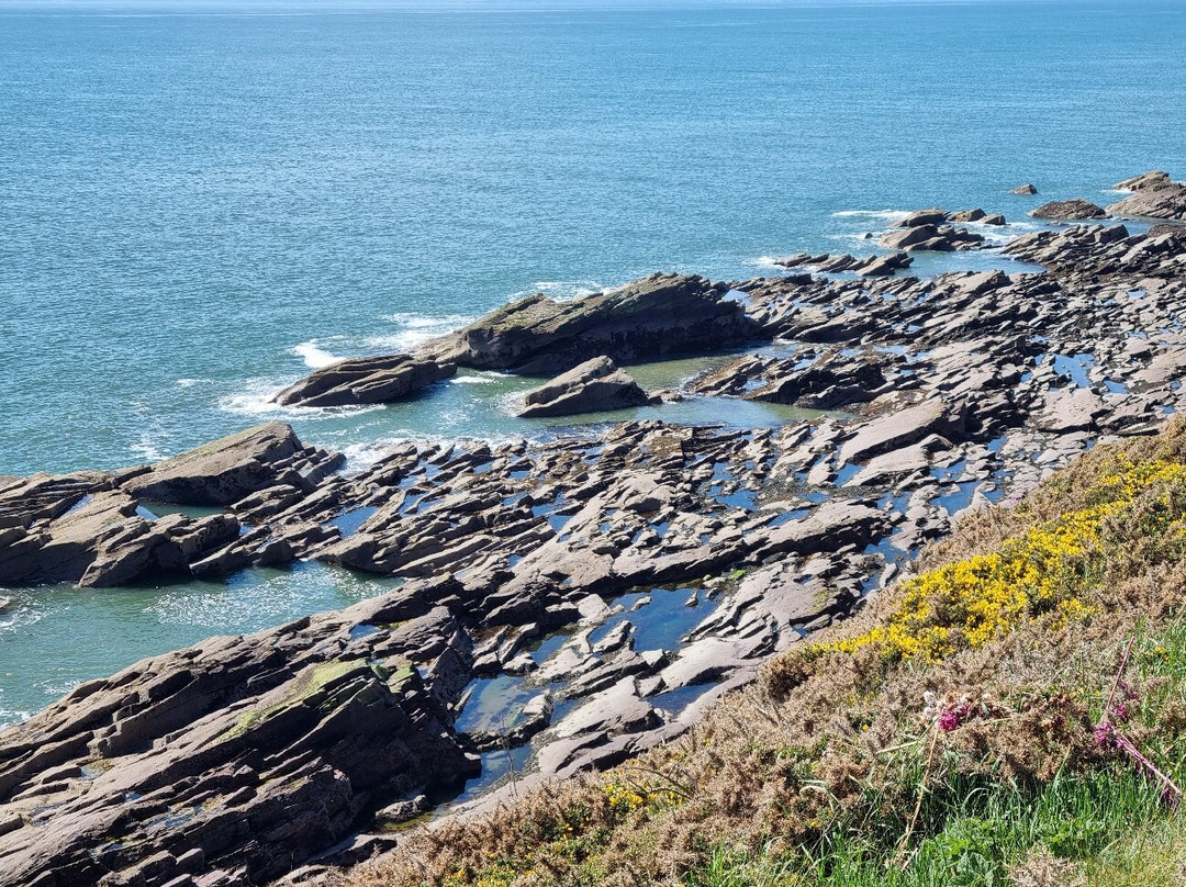 Arbroath Cliffs